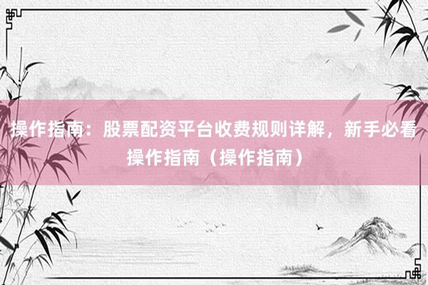 操作指南：股票配资平台收费规则详解，新手必看操作指南（操作指南）