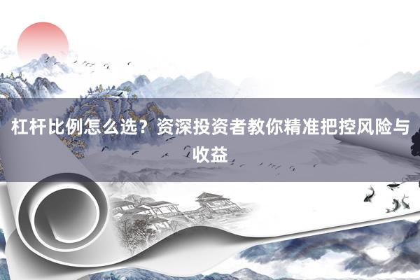 杠杆比例怎么选？资深投资者教你精准把控风险与收益