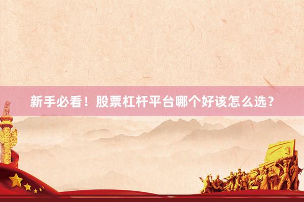 新手必看！股票杠杆平台哪个好该怎么选？