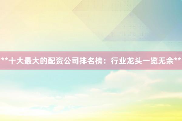 **十大最大的配资公司排名榜：行业龙头一览无余**