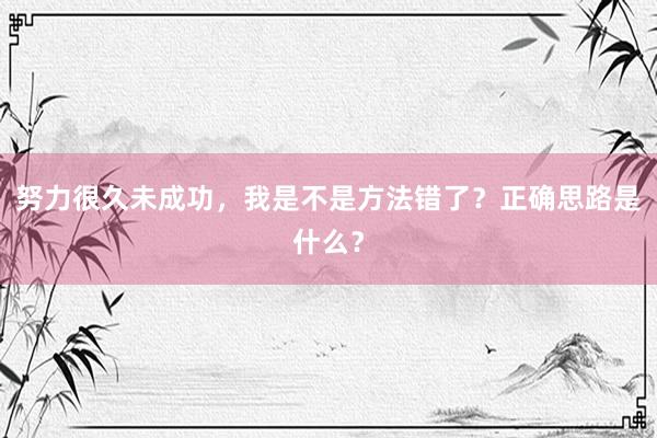 努力很久未成功，我是不是方法错了？正确思路是什么？