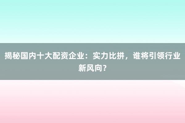 揭秘国内十大配资企业：实力比拼，谁将引领行业新风向？