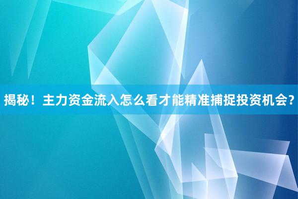 揭秘！主力资金流入怎么看才能精准捕捉投资机会？