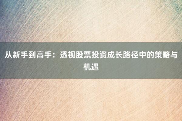 从新手到高手：透视股票投资成长路径中的策略与机遇
