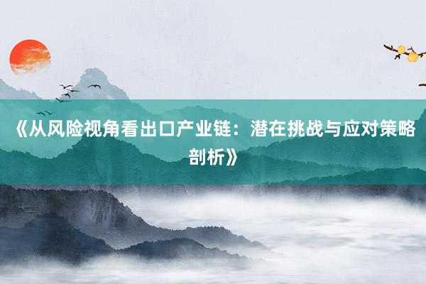 《从风险视角看出口产业链：潜在挑战与应对策略剖析》