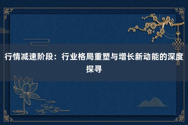 行情减速阶段：行业格局重塑与增长新动能的深度探寻