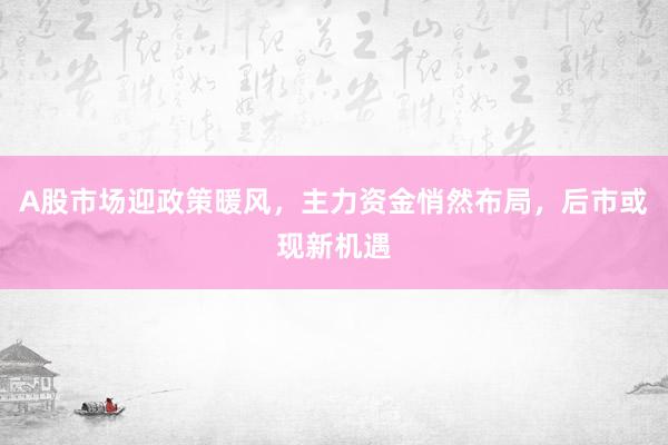 A股市场迎政策暖风，主力资金悄然布局，后市或现新机遇
