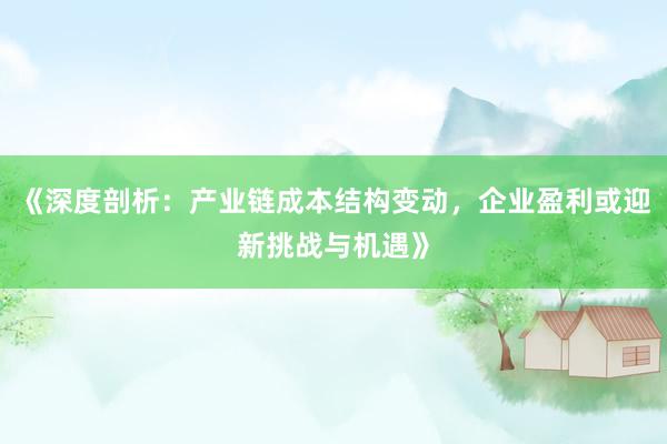 《深度剖析：产业链成本结构变动，企业盈利或迎新挑战与机遇》