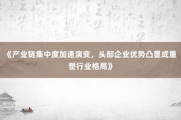 《产业链集中度加速演变，头部企业优势凸显或重塑行业格局》