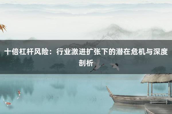 十倍杠杆风险：行业激进扩张下的潜在危机与深度剖析