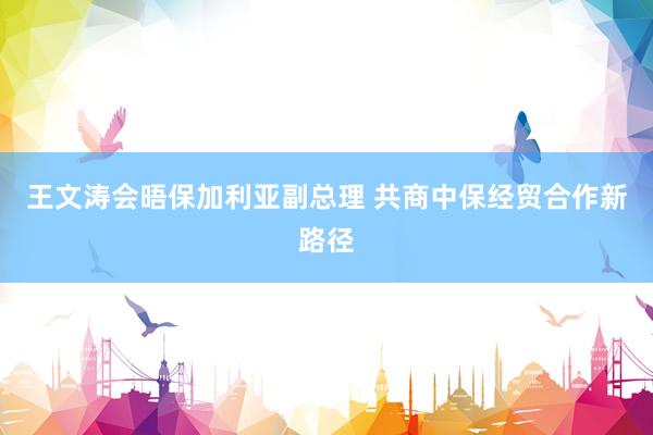 王文涛会晤保加利亚副总理 共商中保经贸合作新路径