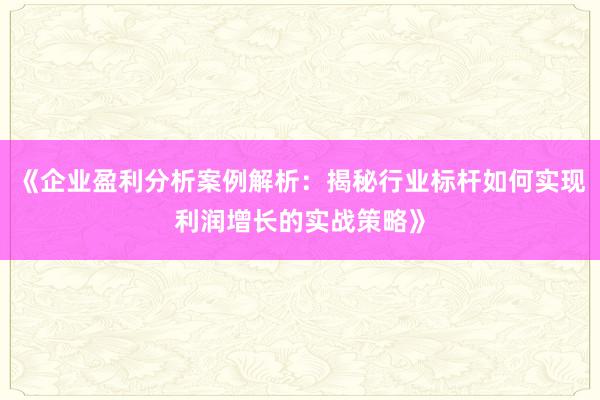 《企业盈利分析案例解析：揭秘行业标杆如何实现利润增长的实战策略》