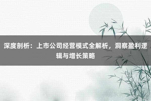 深度剖析：上市公司经营模式全解析，洞察盈利逻辑与增长策略