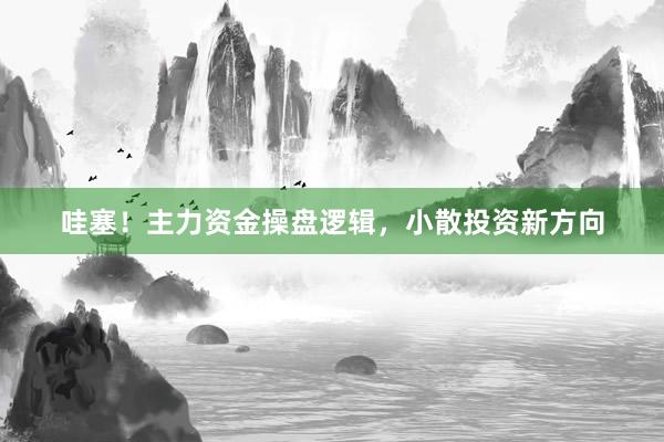 哇塞！主力资金操盘逻辑，小散投资新方向